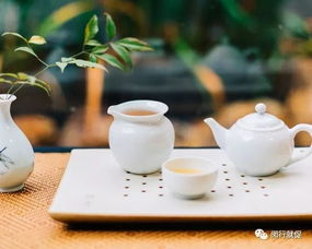 弘泰金融外包服務(wù)面試會(huì) 把握機(jī)遇，在金融外包服務(wù)領(lǐng)域揚(yáng)帆起航